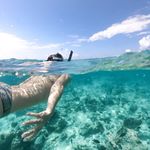 Snorkelling around the island